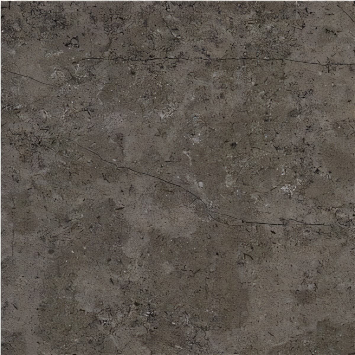 ULG-LMS-073 - Triesta Grey Limestone — image 1