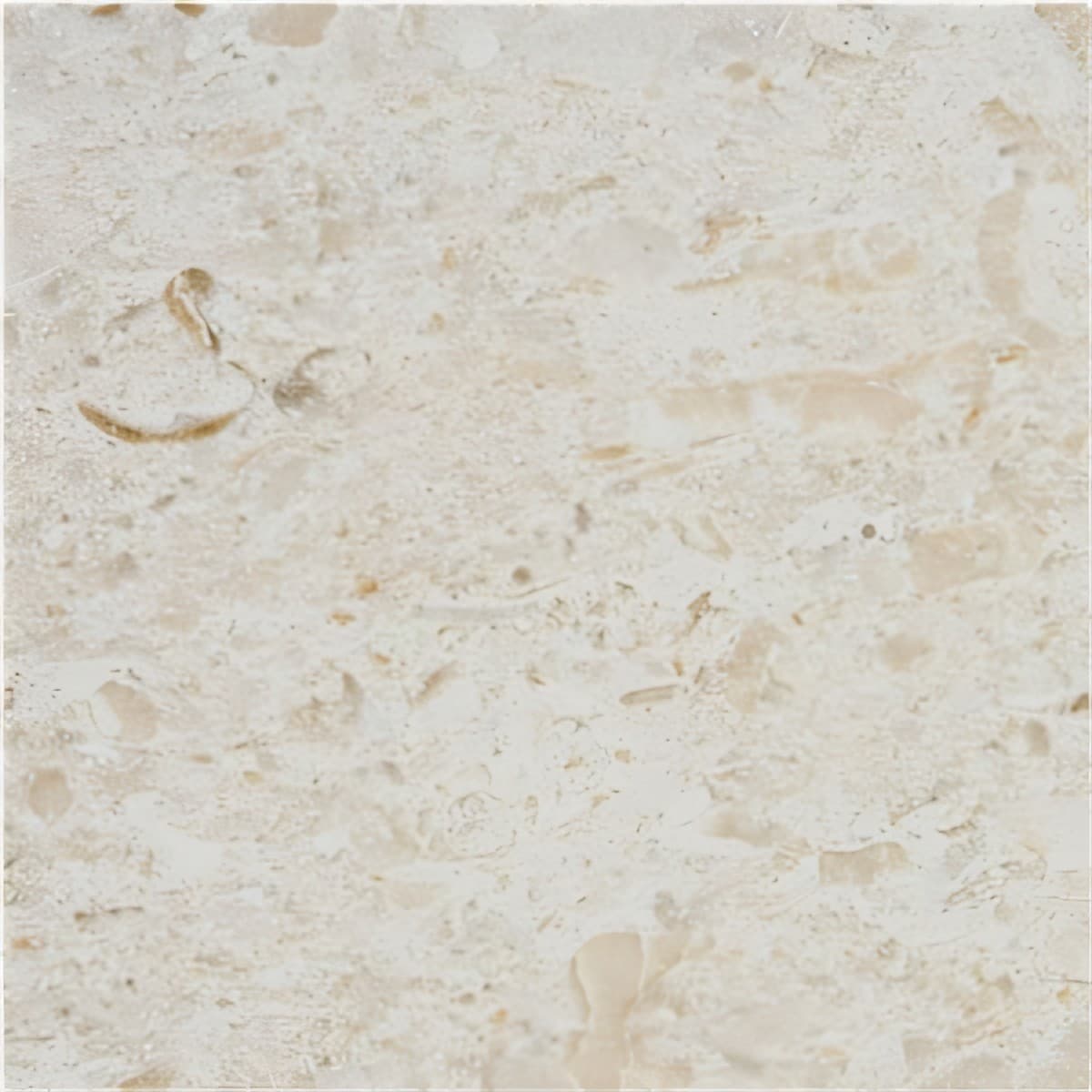 ULG-LMS-074 - Plano Limestone — image 1