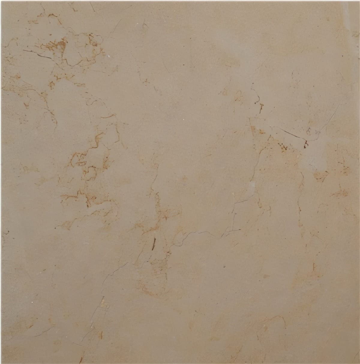 ULG-LMS-075 - Hauteville Limestone — image 1