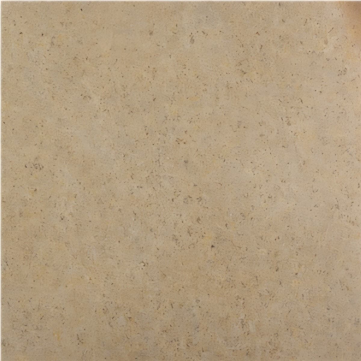 ULG-LMS-080 - San Sebastian Limestone — image 1