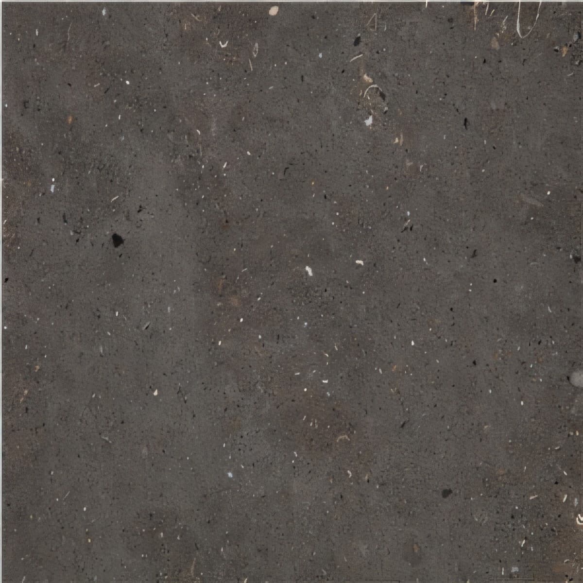 ULG-LMS-089 - Moon Grey Limestone — image 1