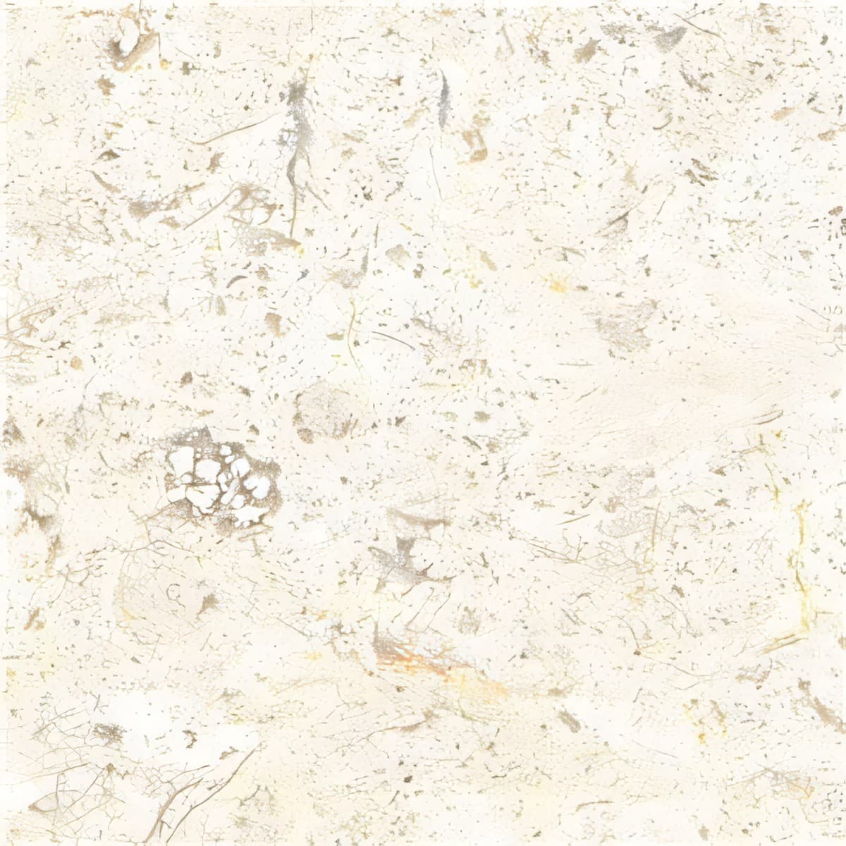 ULG-LMS-091 - Jerusalem White Limestone — image 1