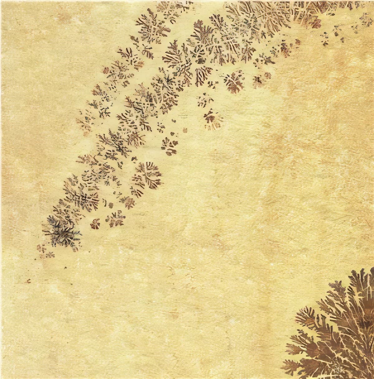 ULG-LMS-096 - Solnhofen Stone — image 1