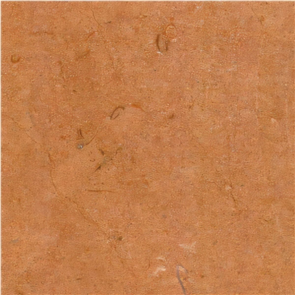 ULG-LMS-097 - Jaisalmer Yellow Limestone — image 1