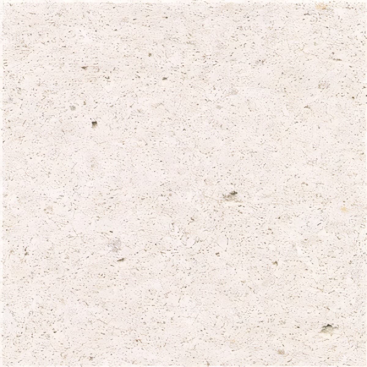 ULG-LMS-098 - Branco Do Mar Limestone — image 1