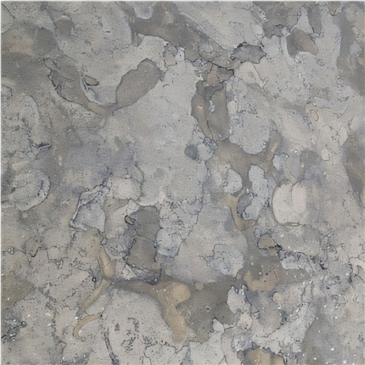 ULG-LMS-099 - Jerusalem Grey Limestone — image 1