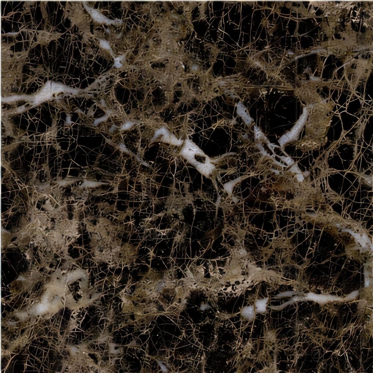 ULG-MBL-020 - Dark Emperador Marble — image 1