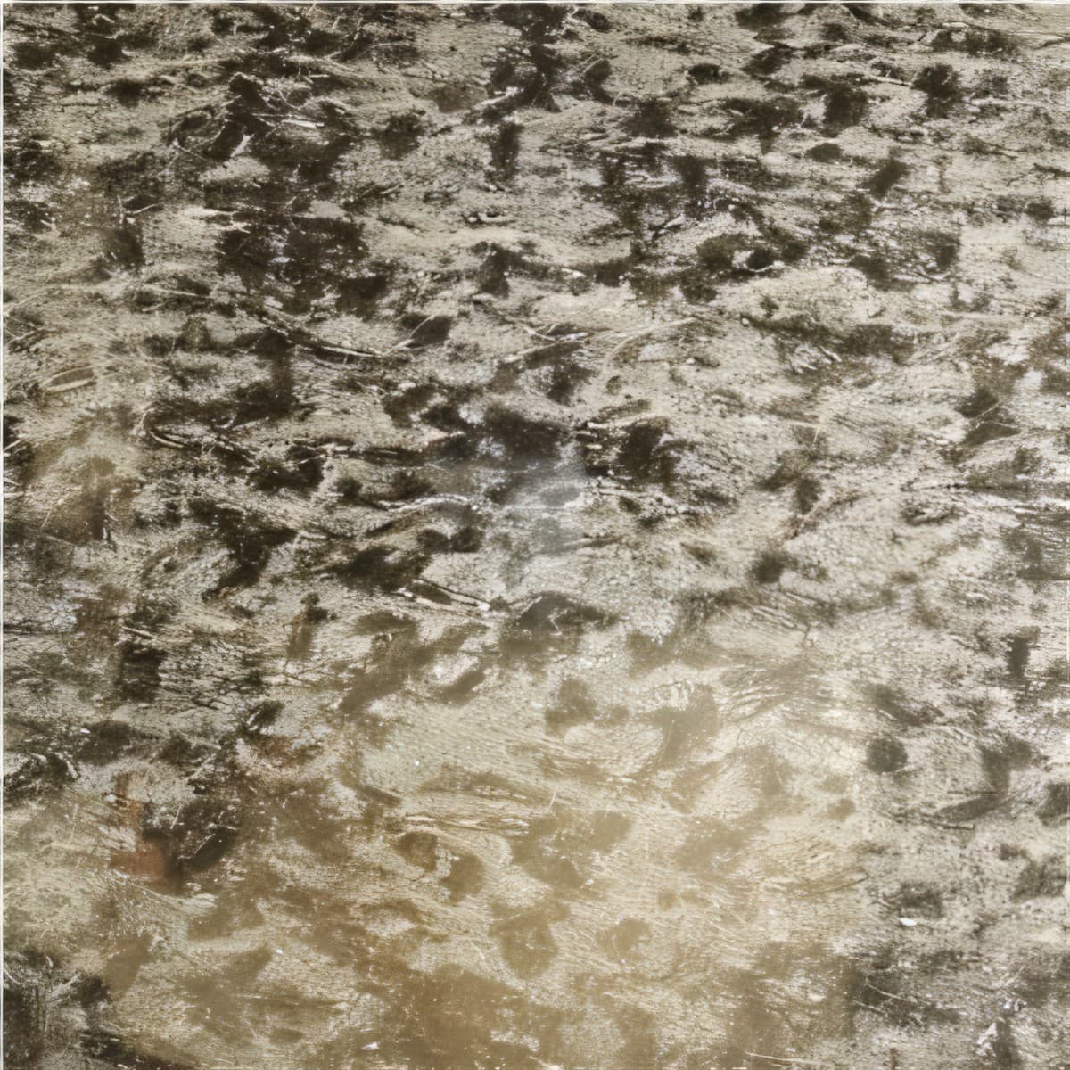 ULG-MBL-028 - Amazon Black Marble — image 1