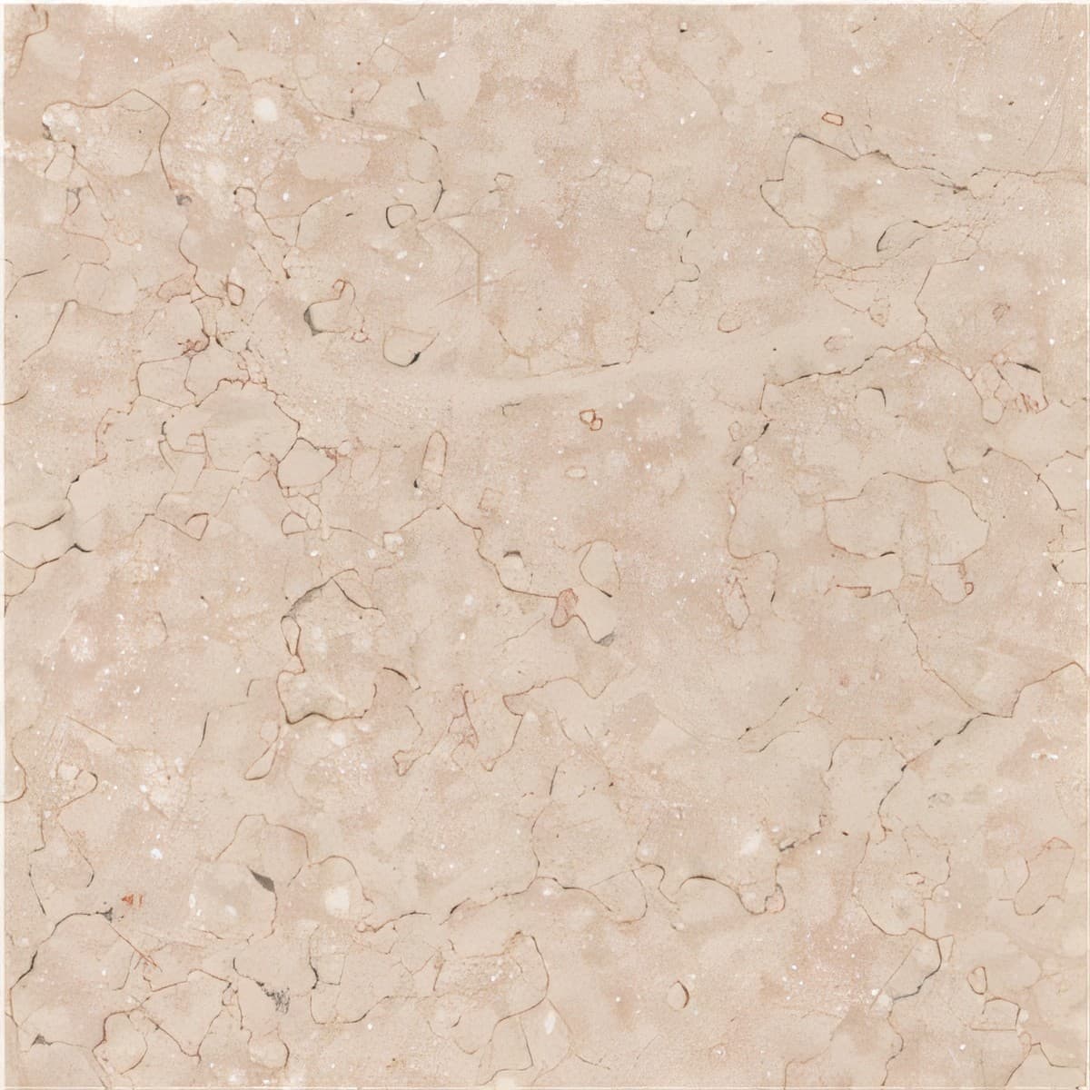 ULG-MBL-039 - Galala Marble — image 1