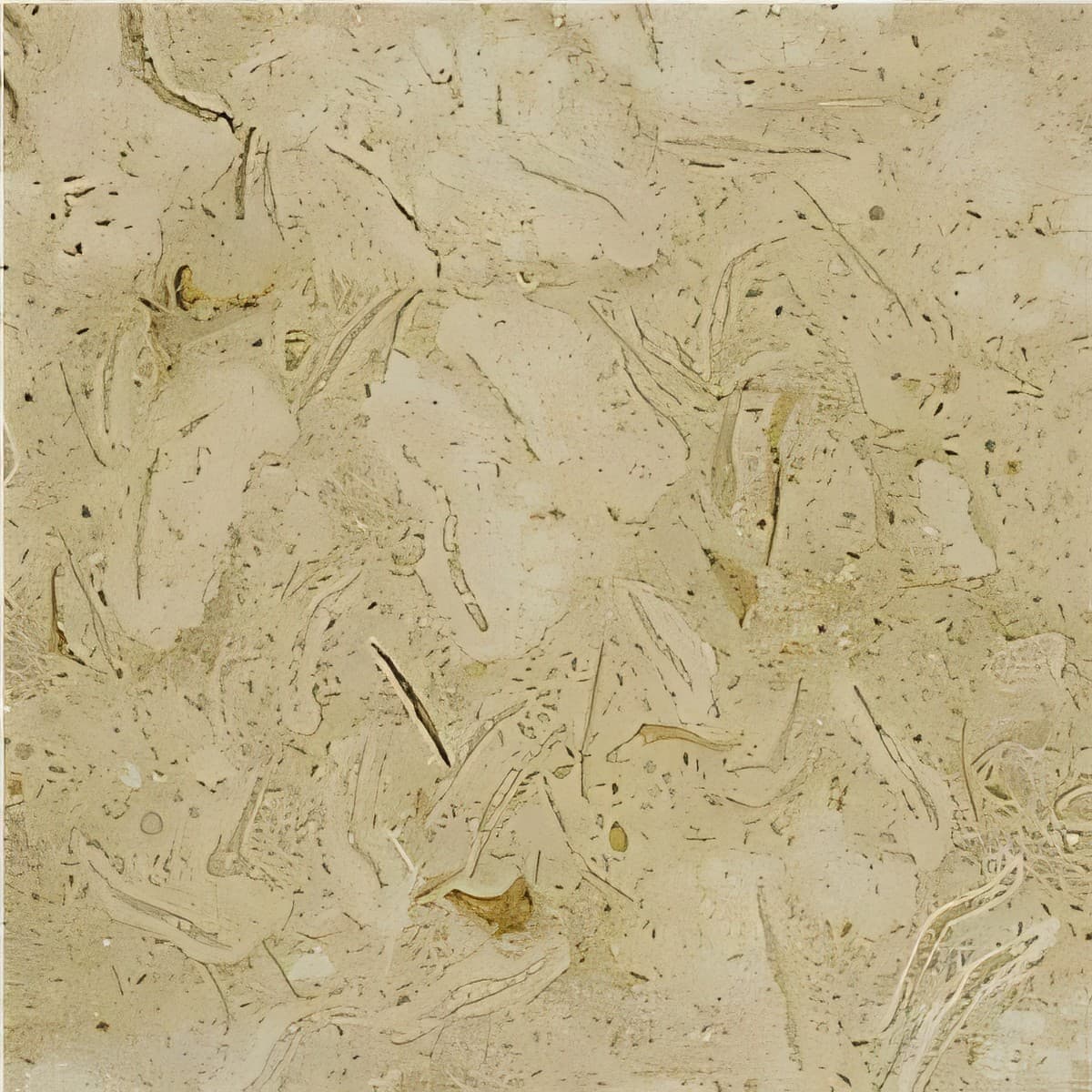 ULG-MBL-045 - Travera Marble — image 1