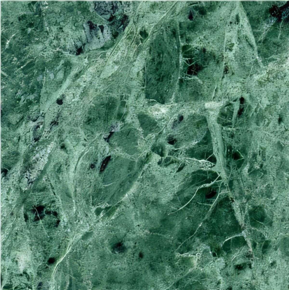 ULG-MBL-076 - Baroda Green Marble — image 1