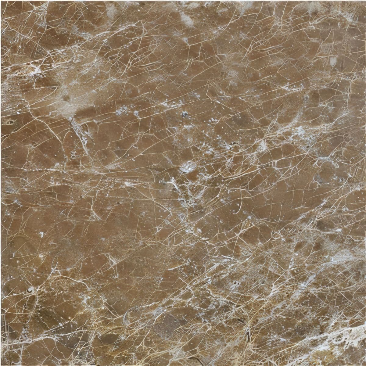 ULG-MBL-089 - Emperador Dark Marble — image 1