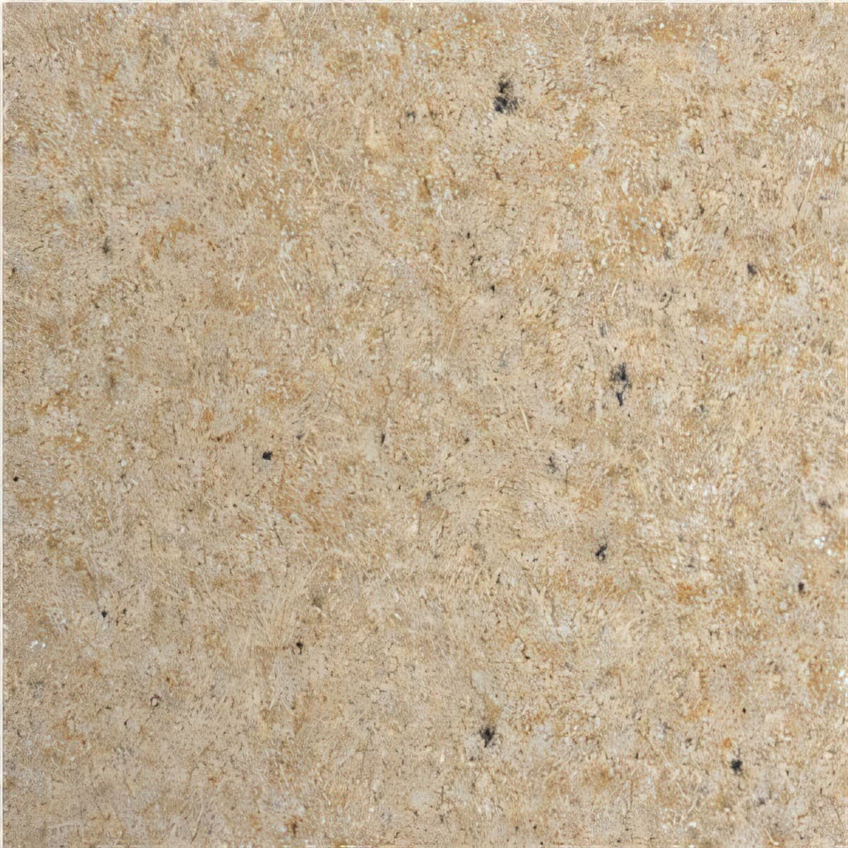 ULG-SND-005 - Witton Fell Sandstone — image 1