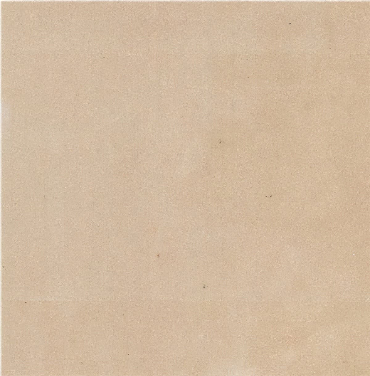 ULG-SND-006 - Dholpur Beige Sandstone — image 1