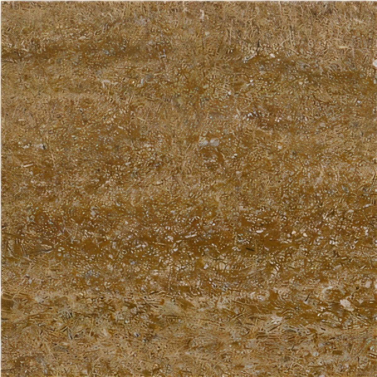 ULG-SND-069 - Pietra Arenaria Sicilia — image 1