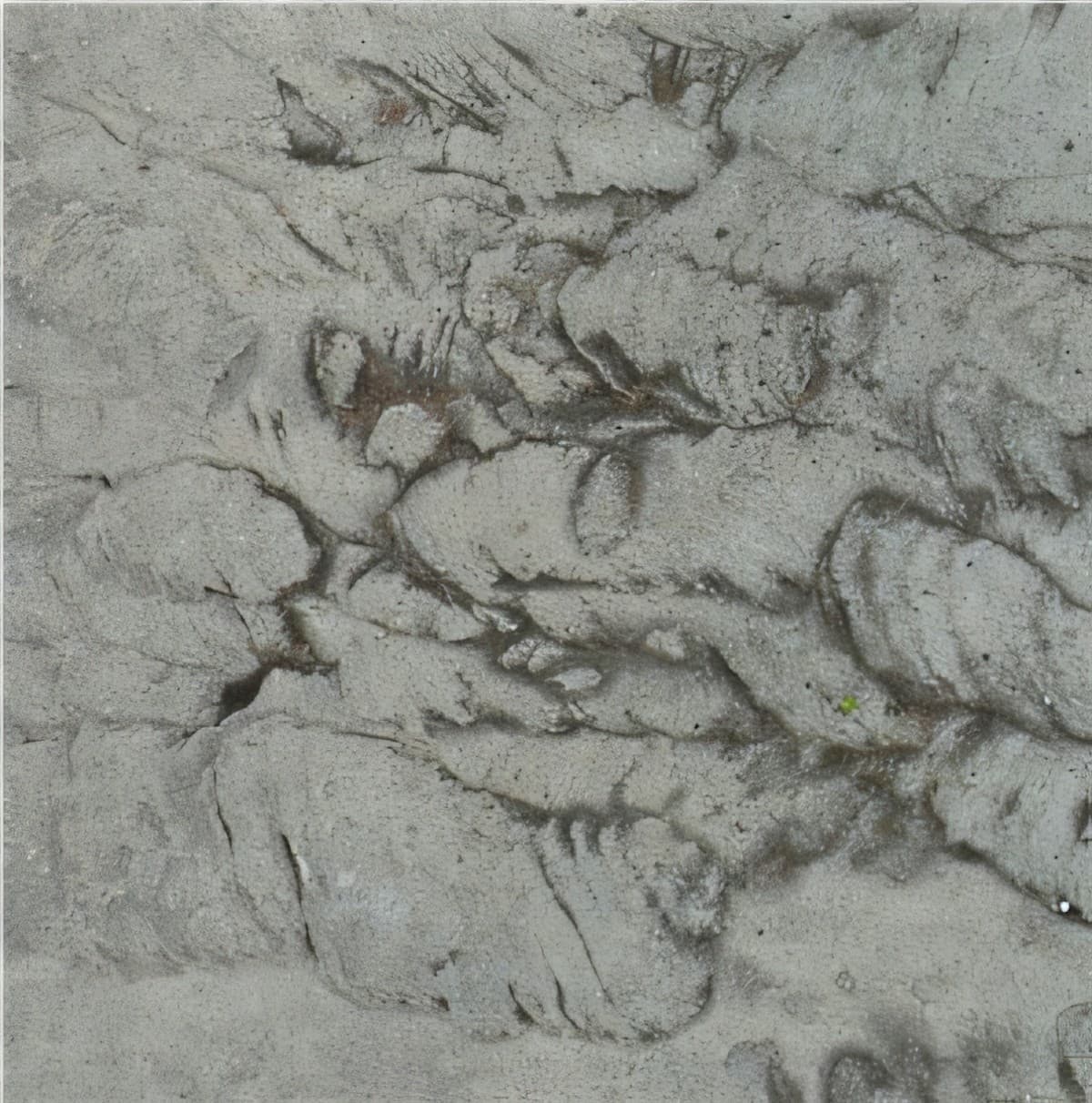 ULG-SND-072 - Amherst Gray Sandstone — image 1