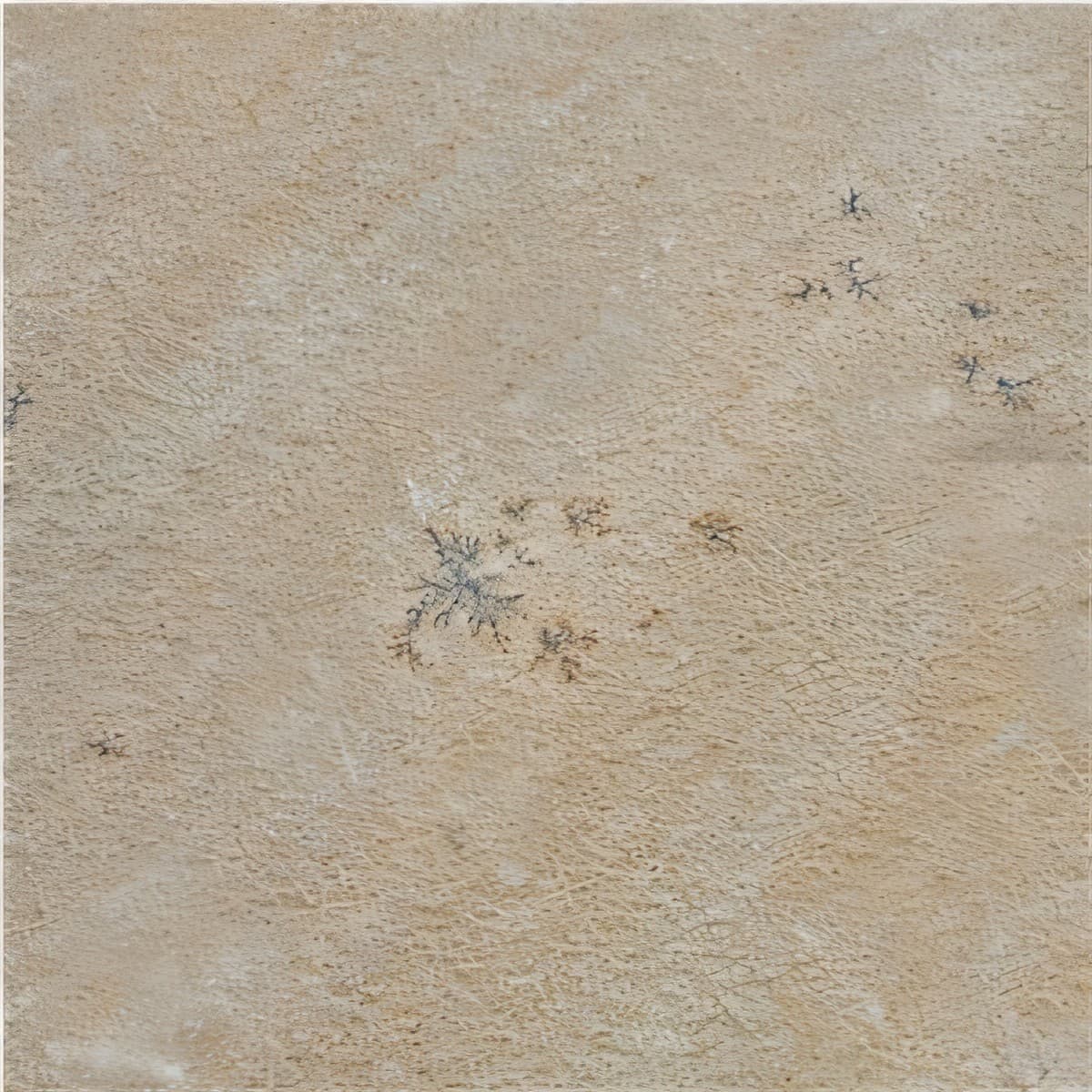 ULG-SND-078 - Tint Mint Sandstone — image 1