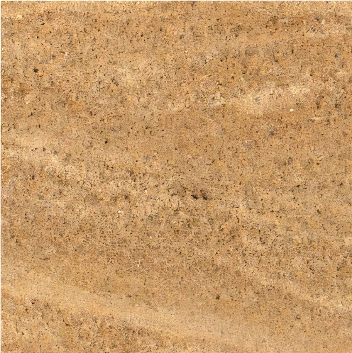 ULG-SND-087 - Tan Sandstone — image 1