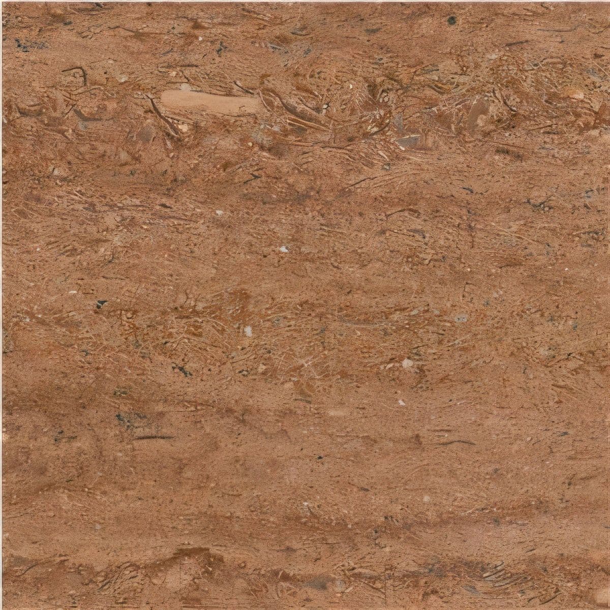 ULG-SND-092 - Eta Gold Sandstone — image 1