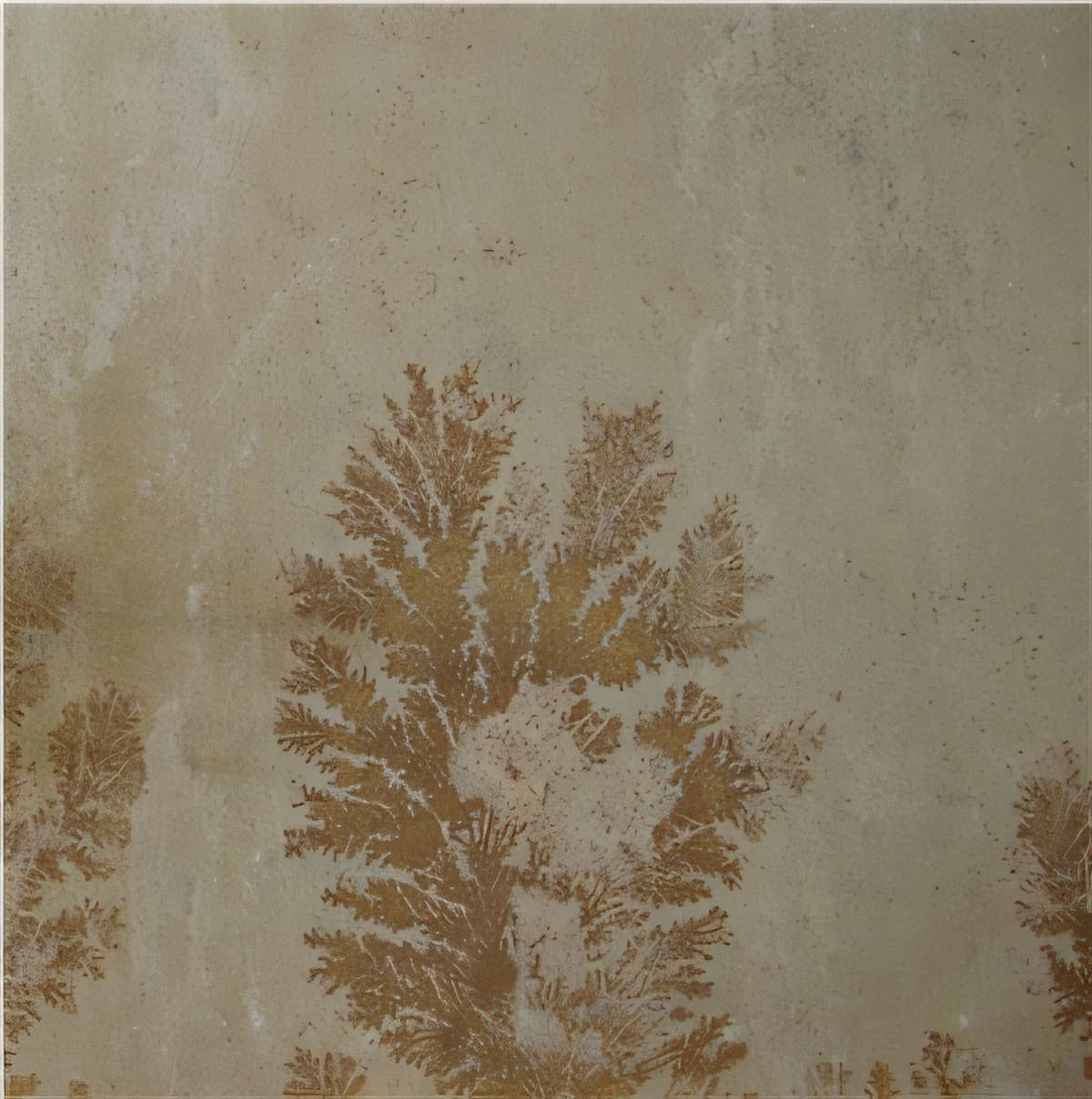 ULG-SND-100 - Fossil Mint Sandstone — image 1