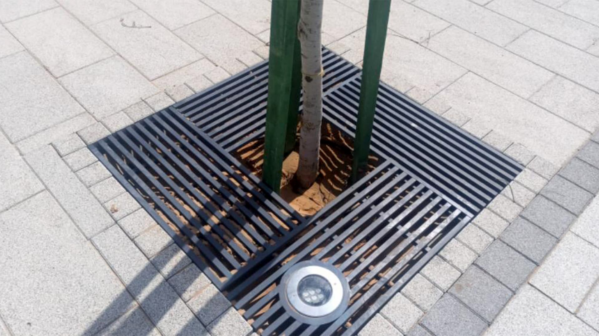 Tree Grates